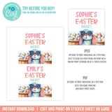 EDITABLE Easter Basket Labels. Easter Egg Basket Name Tag. Cool sunglasses bunny EAS1